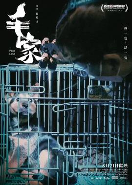 毛家 2024